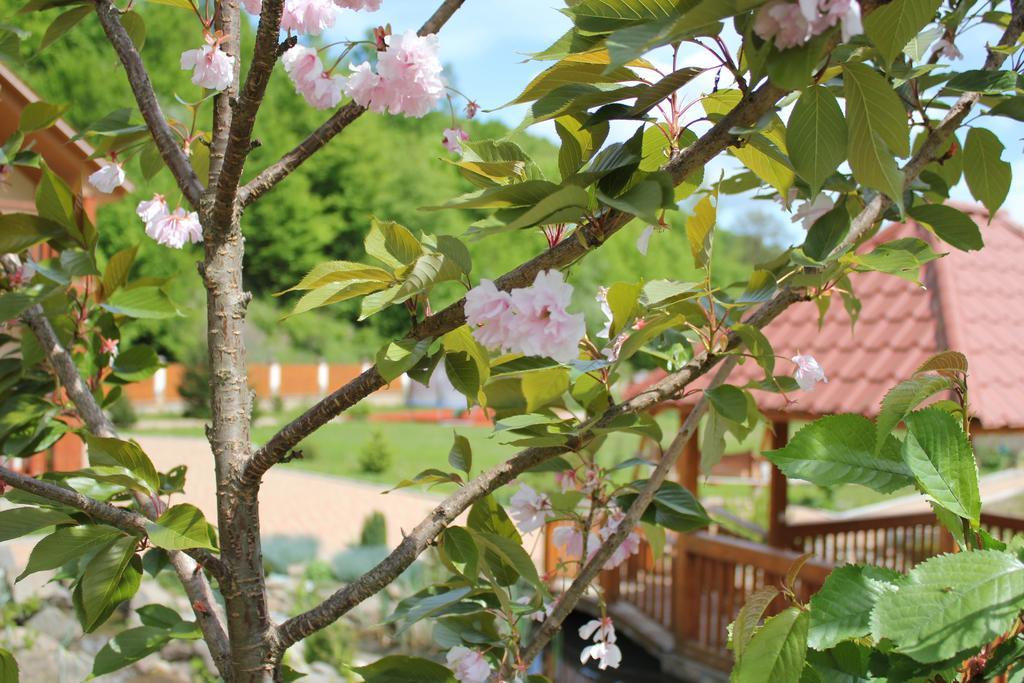 Svit Sontsya Tur'ya Polyana 外观 照片